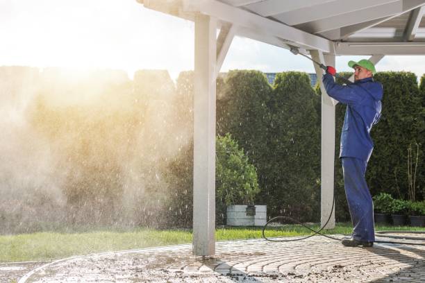 Best Soft Washing for Delicate Surfaces in Salida, CO